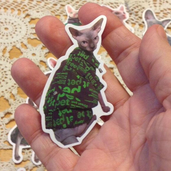 Sphynx Cats Stickers, funny, quirky, silly, for computer, crafts, lockers - Picture 6 of 7